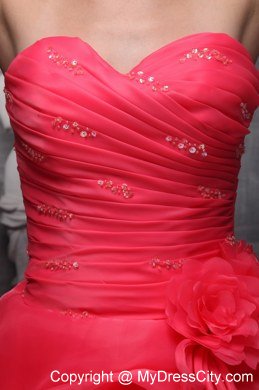 Organza A-line Sweetheart Pick Ups Coral Red 2013 Sweet 16 Dresses