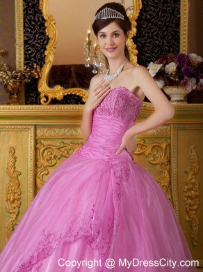 Perfect Sweetheart Embroidery Organza Rose Pink Quinceanera Dresses