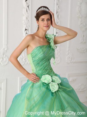 Dropped Waist Ball Gown One Shoulder Flowers Beaded Quinceanera Dresses