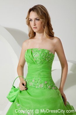 Green Ball Gown Strapless Embroidery Spring Quinceanera Dress