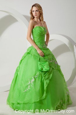 Green Ball Gown Strapless Embroidery Spring Quinceanera Dress