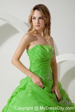 Green Ball Gown Strapless Embroidery Spring Quinceanera Dress