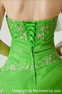 Green Ball Gown Strapless Embroidery Spring Quinceanera Dress