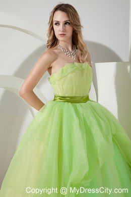 Spring Green A-line Princess Strapless Sweet 15 Dresses with zipper back