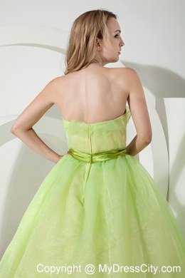 Spring Green A-line Princess Strapless Sweet 15 Dresses with zipper back