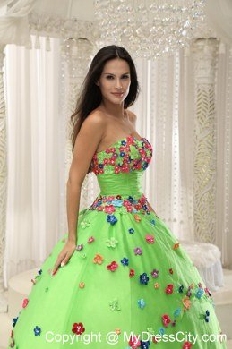 Appliques Decorate Bodice Strapless Spring Green 2013 Quninceaera Gown