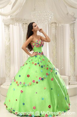 Appliques Decorate Bodice Strapless Spring Green 2013 Quninceaera Gown