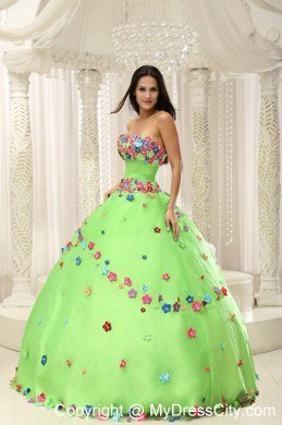 Appliques Decorate Bodice Strapless Spring Green 2013 Quninceaera Gown