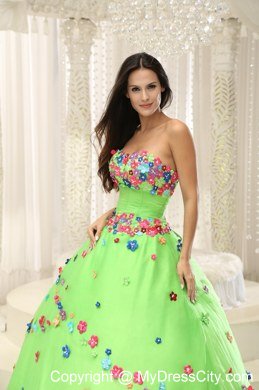 Appliques Decorate Bodice Strapless Spring Green 2013 Quninceaera Gown