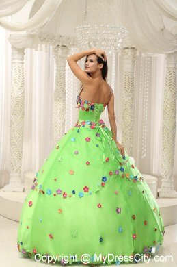 Appliques Decorate Bodice Strapless Spring Green 2013 Quninceaera Gown