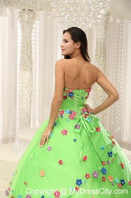 Appliques Decorate Bodice Strapless Spring Green 2013 Quninceaera Gown