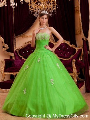 Tulle A-line Princess Appliques Spring Green Quinceanera Gowns