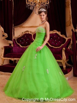 Tulle A-line Princess Appliques Spring Green Quinceanera Gowns