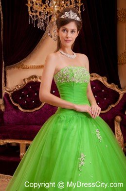 Tulle A-line Princess Appliques Spring Green Quinceanera Gowns