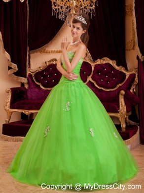 Tulle A-line Princess Appliques Spring Green Quinceanera Gowns