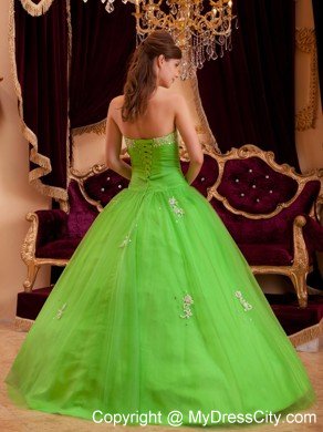 Tulle A-line Princess Appliques Spring Green Quinceanera Gowns