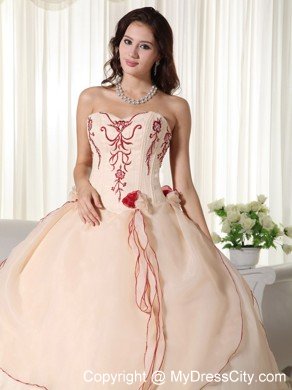 Custom Size Sweetheart Organza Embroidery Quinceanera Dress