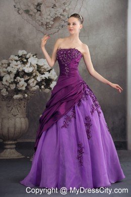 Taffeta and Organza Grape Quanceanera Dress with Appliques