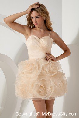 Champagne A-line Organza Spaghetti Straps Short Cocktail Dress