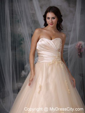 Champagne Princess Sweetheart Brush Train Embroidery Wedding Dress