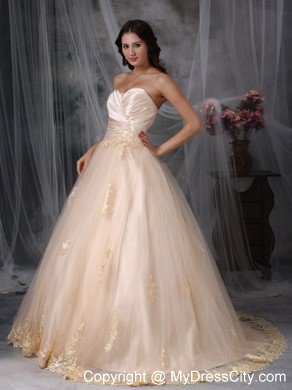 Champagne Princess Sweetheart Brush Train Embroidery Wedding Dress