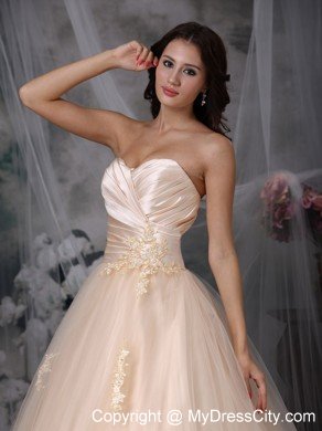 Champagne Princess Sweetheart Brush Train Embroidery Wedding Dress