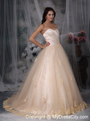 Champagne Princess Sweetheart Brush Train Embroidery Wedding Dress