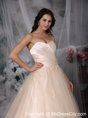 Champagne Princess Sweetheart Brush Train Embroidery Wedding Dress