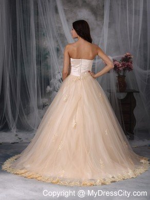 Champagne Princess Sweetheart Brush Train Embroidery Wedding Dress