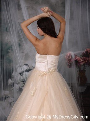 Champagne Princess Sweetheart Brush Train Embroidery Wedding Dress