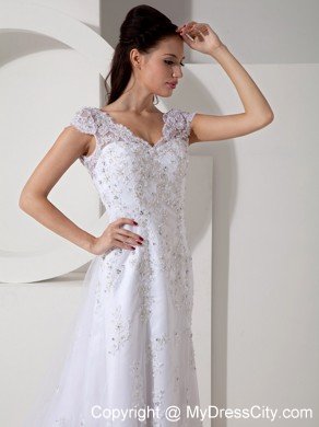 High-class Column V-neck Beaded Lace Wedding Dress with Court Train