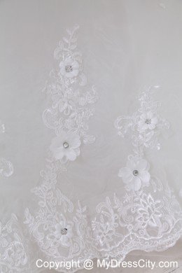 A-line Brush Train Tulle Beading and Appliques Wedding Dress