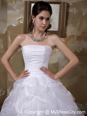 Ball Gown Strapless Taffeta and Organza Pick-ups Wedding Gown