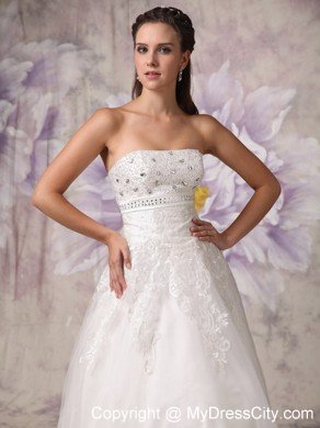 Appliques with Beading for Strapless A-line Garden Wedding Dresses