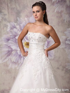 Appliques with Beading for Strapless A-line Garden Wedding Dresses