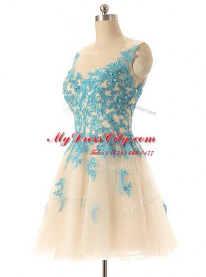 Elegant Mini Length Champagne Prom Dress Bateau Sleeveless Zipper