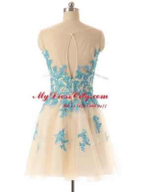 Elegant Mini Length Champagne Prom Dress Bateau Sleeveless Zipper