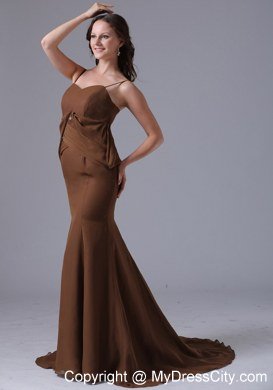 Modest Brown Spaghetti Straps Mermaid 2013 Evening Dresses