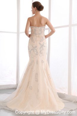 Champagne Mermaid Strapless Evening Dress with Organza Sequins