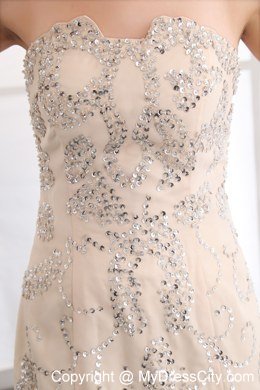 Champagne Mermaid Strapless Evening Dress with Organza Sequins