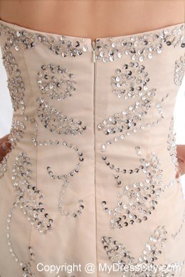 Champagne Mermaid Strapless Evening Dress with Organza Sequins