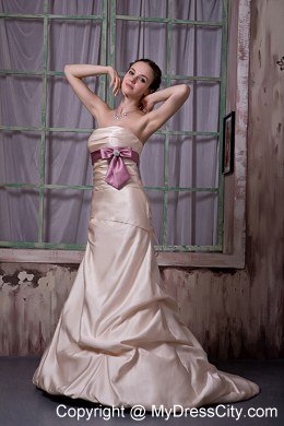 Champagne A-line Strapless 2013 Prom Gowns with Beading