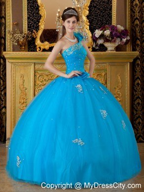 Flowers One Shoulder Appliques 2013 Beautiful Blue Quinceanera Gowns