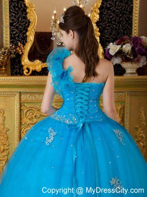 Flowers One Shoulder Appliques 2013 Beautiful Blue Quinceanera Gowns