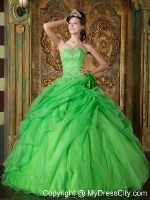 Flowers Strapless Appliques With Beading Quinceanera Dress In Spring Green