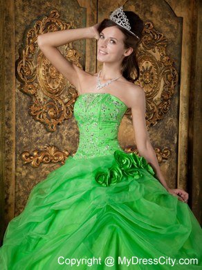 Flowers Strapless Appliques With Beading Quinceanera Dress In Spring Green