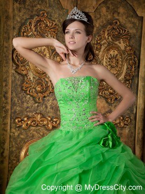 Flowers Strapless Appliques With Beading Quinceanera Dress In Spring Green