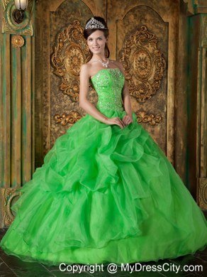 Flowers Strapless Appliques With Beading Quinceanera Dress In Spring Green