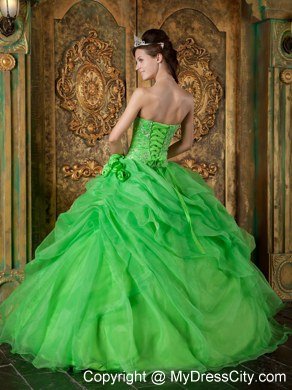 Flowers Strapless Appliques With Beading Quinceanera Dress In Spring Green