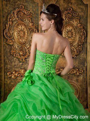 Flowers Strapless Appliques With Beading Quinceanera Dress In Spring Green